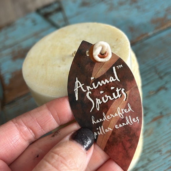 Animal Spirits Eagle 3D Handcrafted Pillar Candle Unburned VTG Lava Candle - Picture 6 of 7